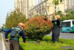 青州市：黨建紅+園林綠+環(huán)衛(wèi)橙，合力打造全域花園城市